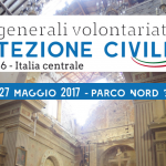 StatiGeneraliVolontariato(grafica)