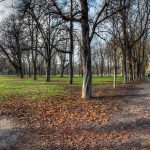 Scorcio_del_parco_ducale_di_Parma2
