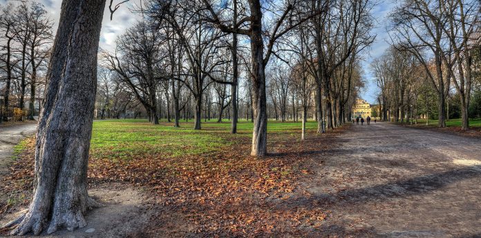Scorcio_del_parco_ducale_di_Parma2